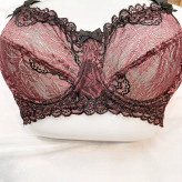 سوتین تمام دانتل مدل دالبردار فنردار مارک nsp